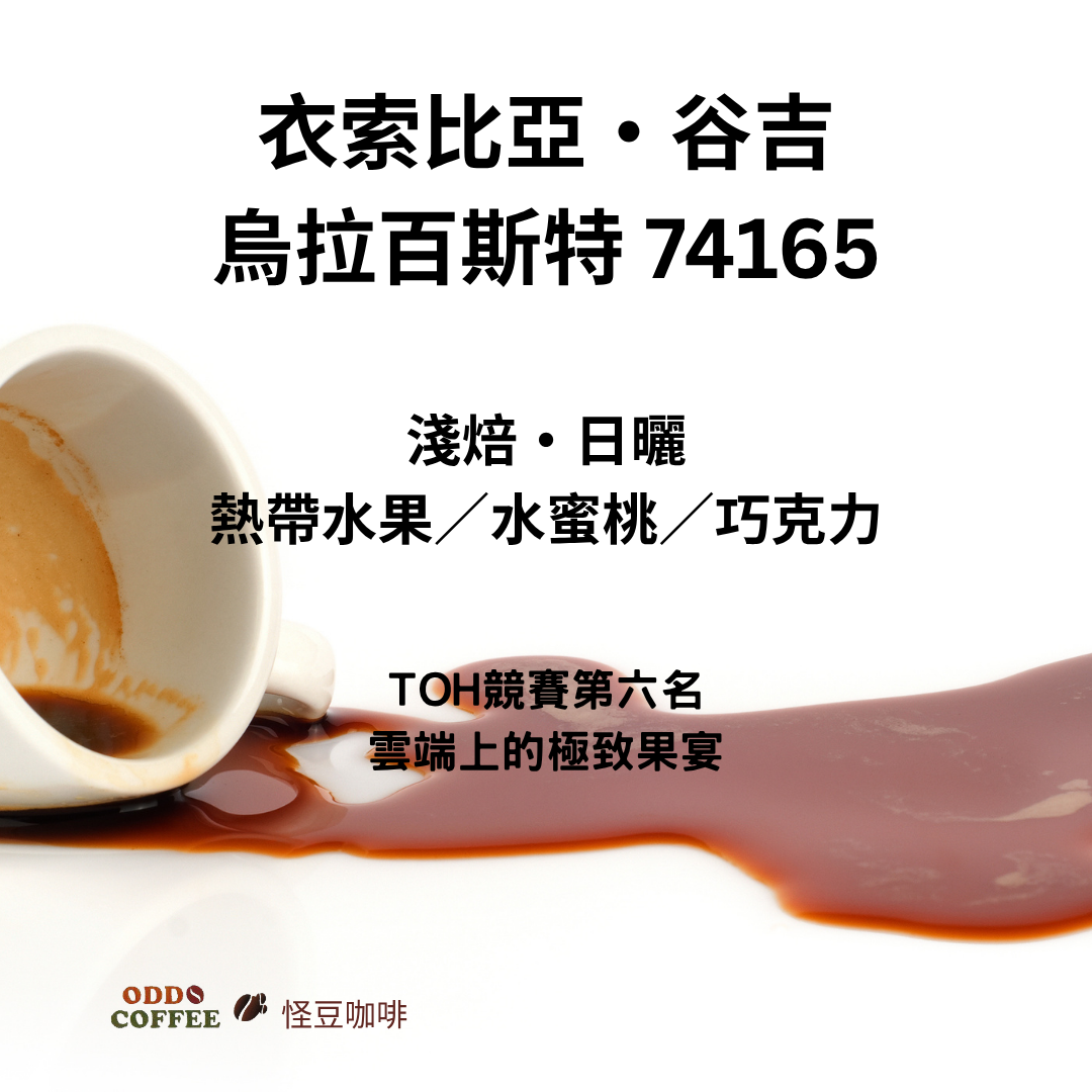 衣索比亞・谷吉・烏拉百斯特・74165 | TOH 第六名|獻給懂咖啡的靈魂