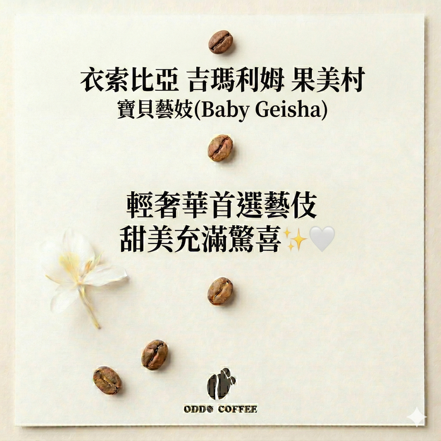 衣索比亞・吉瑪利姆・果美村・寶貝藝妓|輕奢華首選藝伎