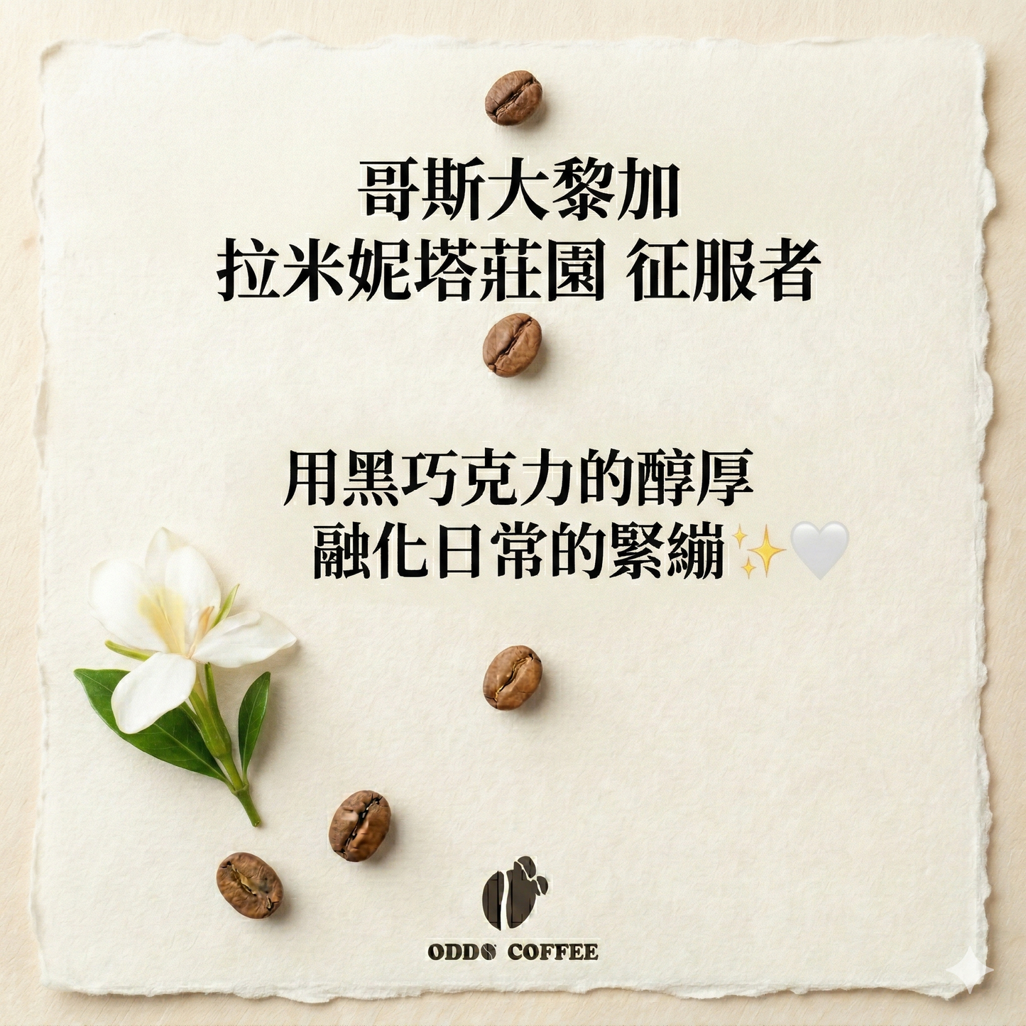 哥斯大黎加・拉米妮塔莊園・征服者 | 用黑巧克力的醇厚,融化日常的緊繃