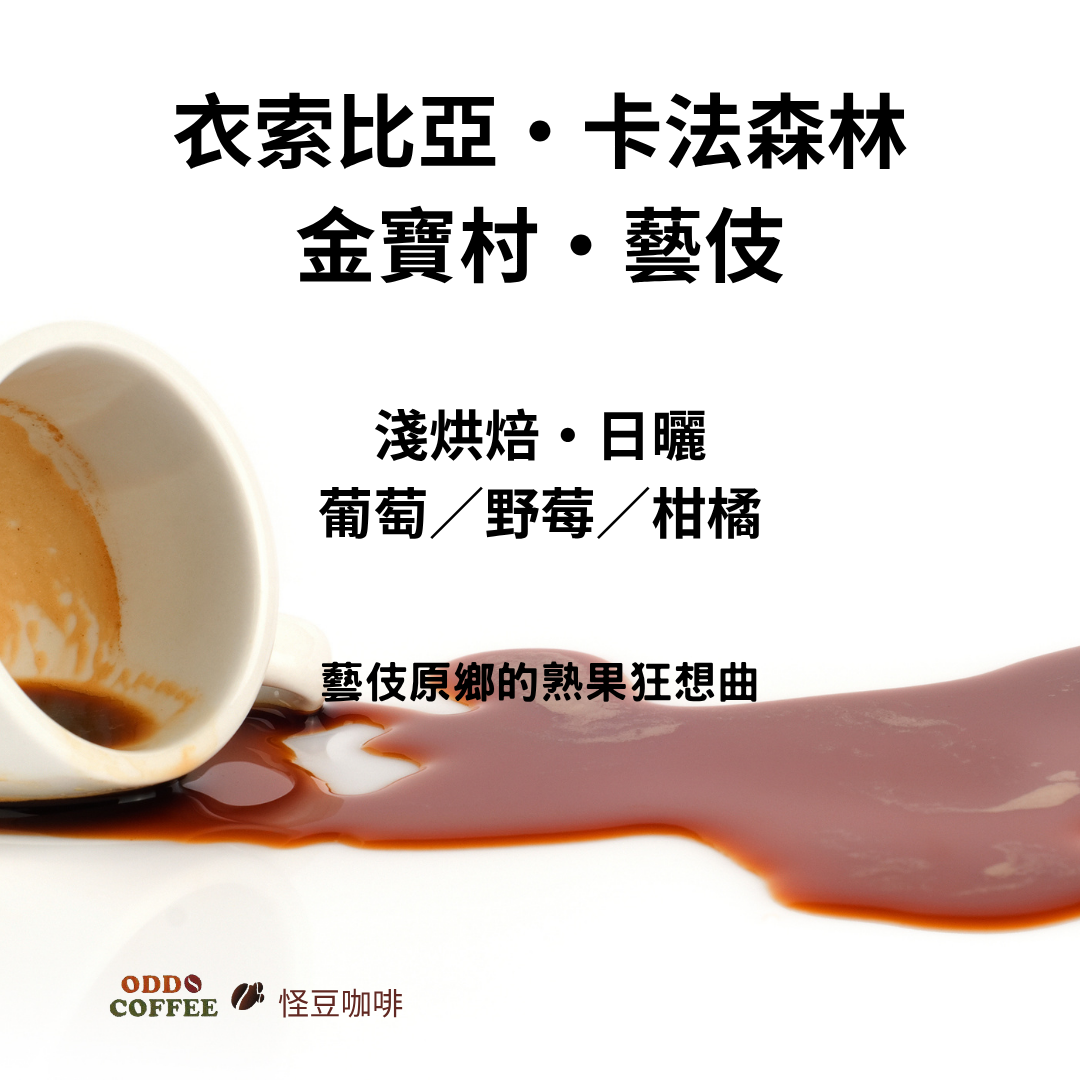衣索比亞・卡法森林・金寶村・碧塔處理站・藝伎日曬 | 藝伎原鄉的熟果狂想曲