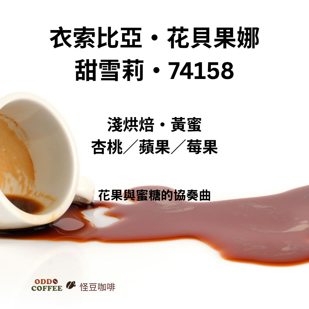 衣索比亞・花貝果娜・甜雪莉處理廠・74158|花果與蜜糖的協奏曲