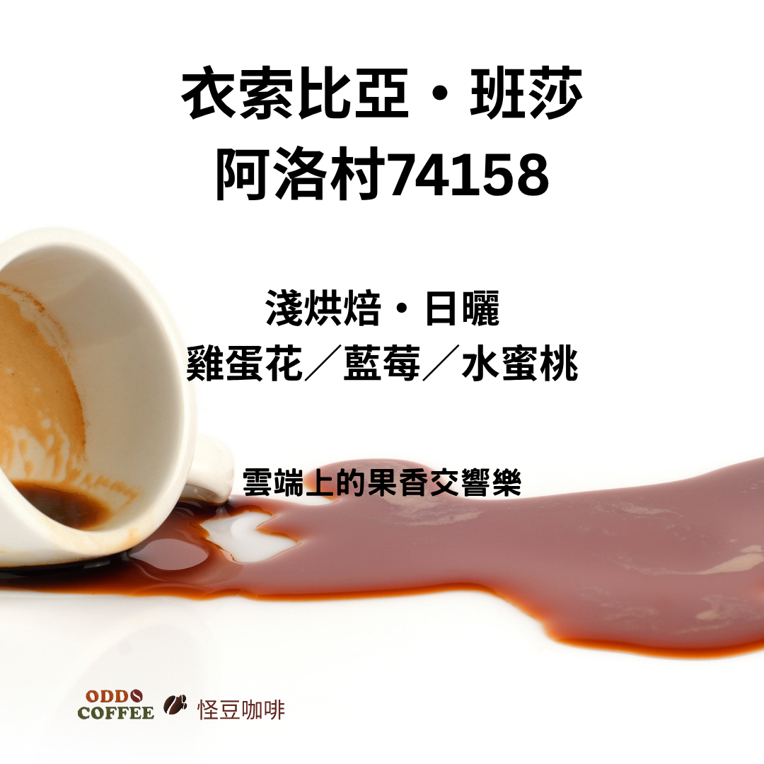衣索比亞・班莎・阿洛村 (Alo Village) 74158|雲端上的果香交響樂