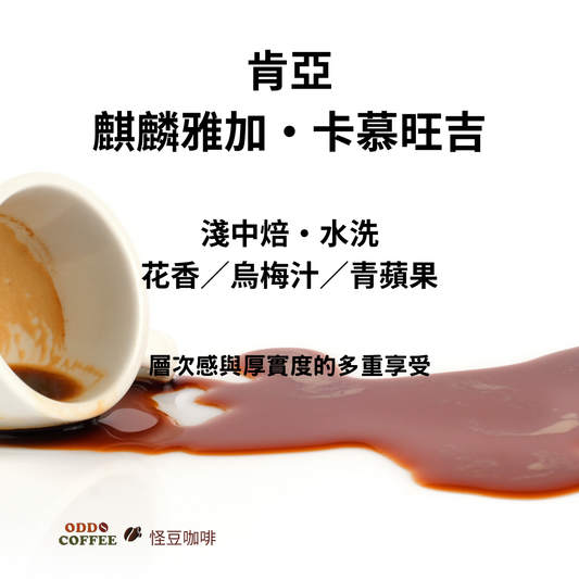 肯亞AA  TOP・麒麟雅加・卡慕旺吉| 層次感與厚實度的多重享受
