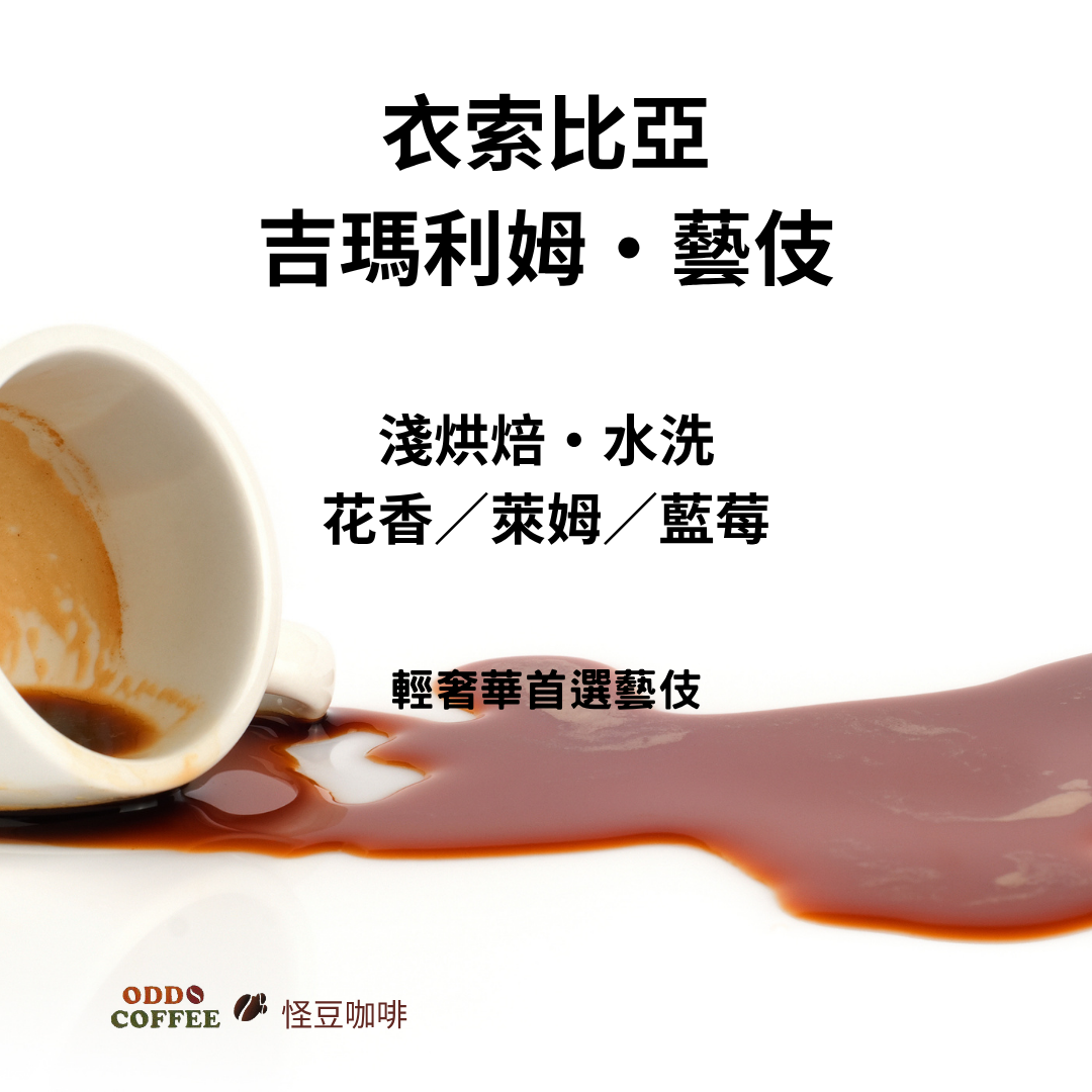 衣索比亞・吉瑪利姆・藝伎|輕奢華首選藝伎