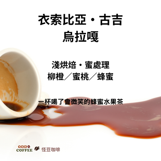 衣索比亞・古吉・烏拉嘎 | 一杯喝了會微笑的蜂蜜水果茶