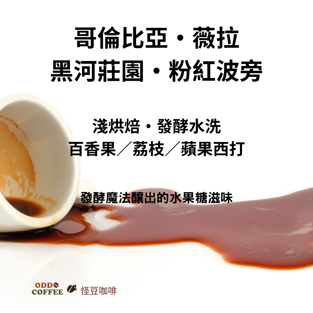 哥倫比亞・薇拉・黑河莊園・粉紅波旁 | 發酵魔法釀出的水果糖滋味
