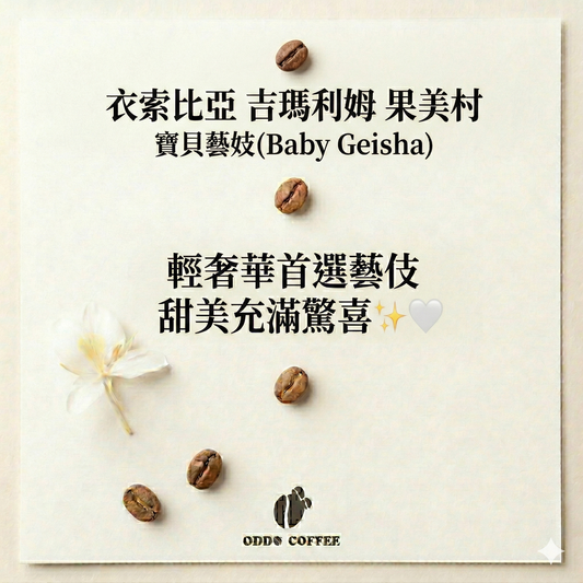 衣索比亞・吉瑪利姆・果美村・寶貝藝妓|輕奢華首選藝伎