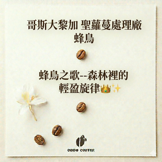 哥斯大黎加・蜂鳥| 森林裡的輕盈旋律