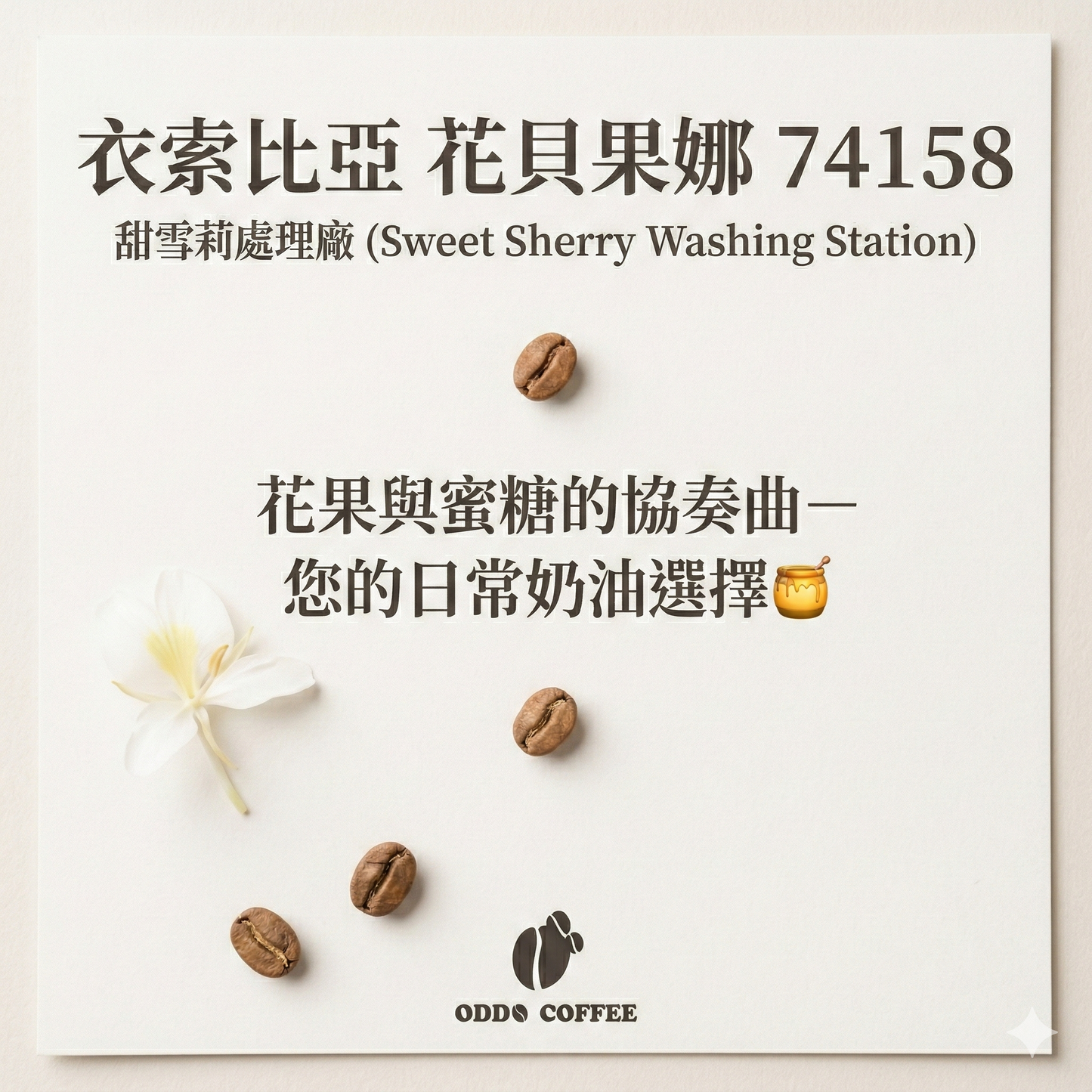 衣索比亞・花貝果娜・甜雪莉處理廠・74158|花果與蜜糖的協奏曲