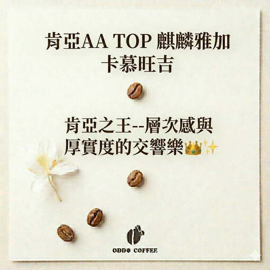 肯亞AA  TOP・麒麟雅加・卡慕旺吉| 層次感與厚實度的多重享受