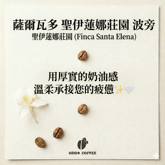 薩爾瓦多・聖伊蓮娜莊園・波旁 | 獲獎無數的醇厚擁抱