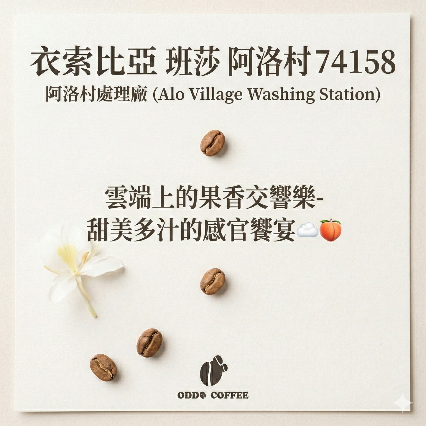 衣索比亞・班莎・阿洛村 (Alo Village) 74158|雲端上的果香交響樂