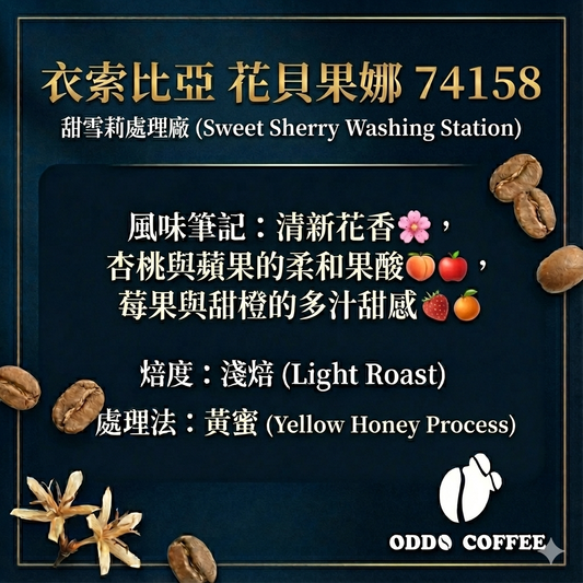 衣索比亞・花貝果娜・甜雪莉處理廠・74158|花果與蜜糖的協奏曲