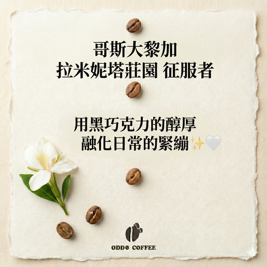 哥斯大黎加・拉米妮塔莊園・征服者 | 用黑巧克力的醇厚，融化日常的緊繃