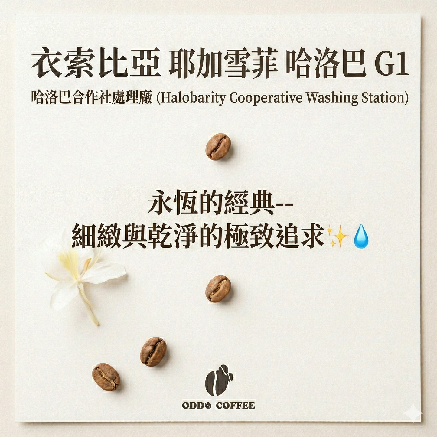 衣索比亞・耶加雪菲・哈洛巴 (Halobarity) |永恆的經典耶加