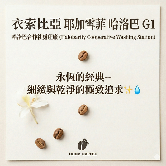 衣索比亞・耶加雪菲・哈洛巴 (Halobarity) |永恆的經典耶加